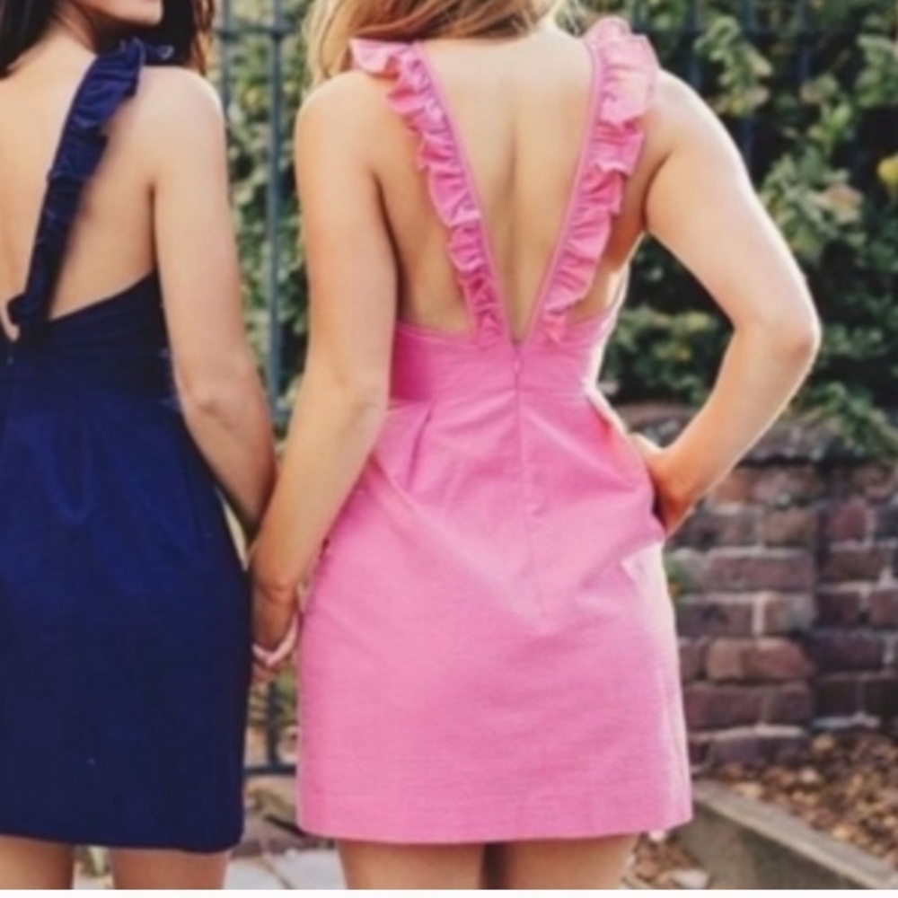 Lauren James Rose Claire Solid derby Dress NWT
